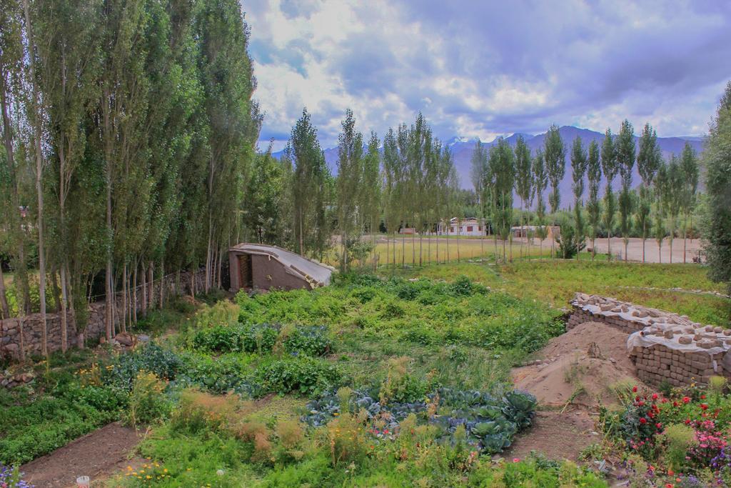 Tsetan Guest House Лех Екстериор снимка